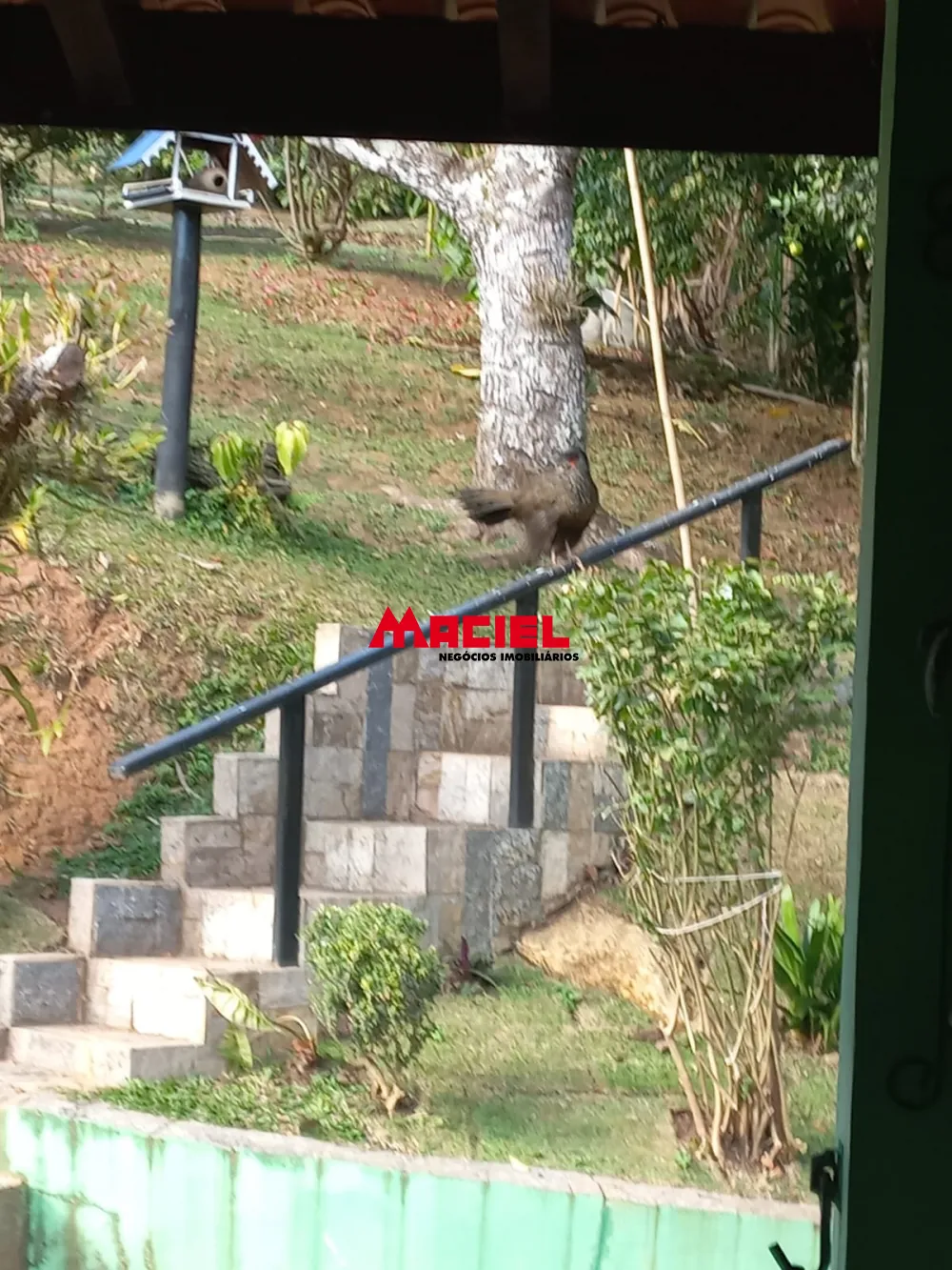 Comprar Rural / S&iacute;tio em Monteiro Lobato R$ 1.500.000,00 - Foto 23