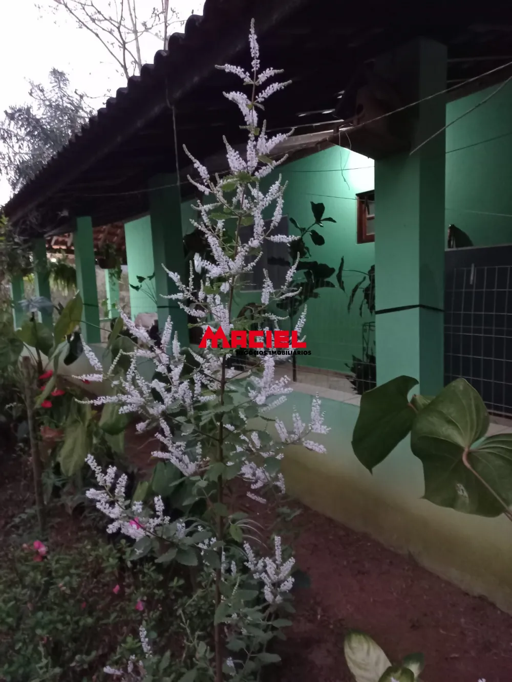 Comprar Rural / S&iacute;tio em Monteiro Lobato R$ 1.500.000,00 - Foto 25