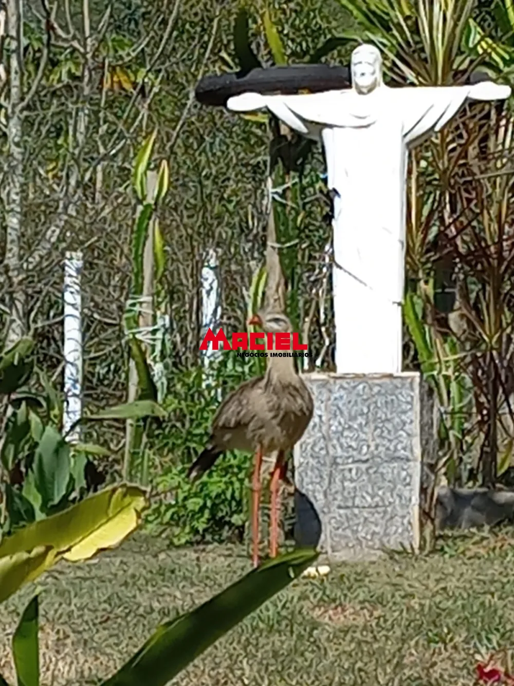 Comprar Rural / S&iacute;tio em Monteiro Lobato R$ 1.500.000,00 - Foto 26