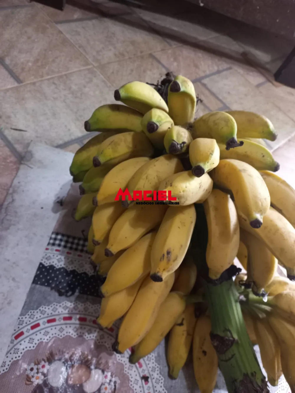 Comprar Rural / S&iacute;tio em Monteiro Lobato R$ 1.500.000,00 - Foto 37