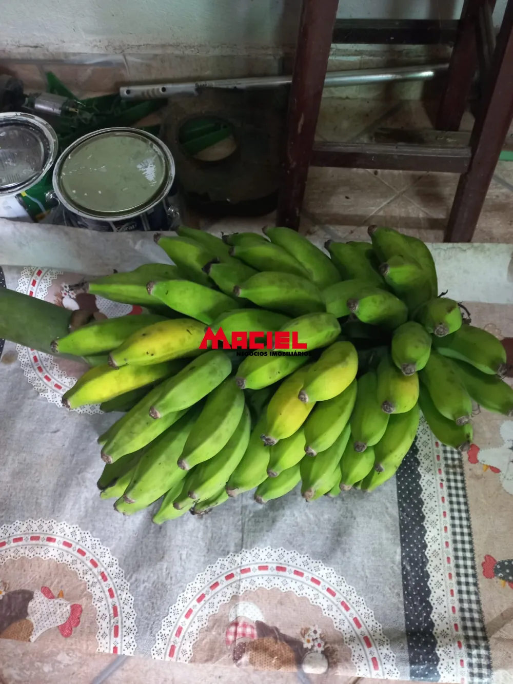 Comprar Rural / S&iacute;tio em Monteiro Lobato R$ 1.500.000,00 - Foto 39