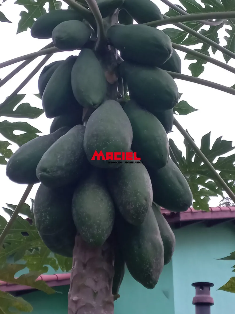 Comprar Rural / S&iacute;tio em Monteiro Lobato R$ 1.500.000,00 - Foto 41