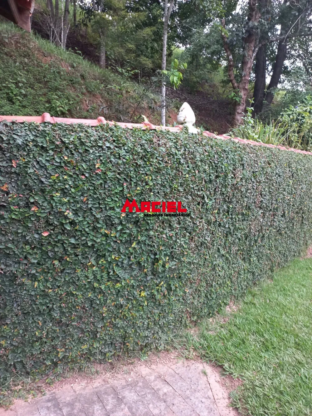 Comprar Rural / S&iacute;tio em Monteiro Lobato R$ 1.500.000,00 - Foto 44