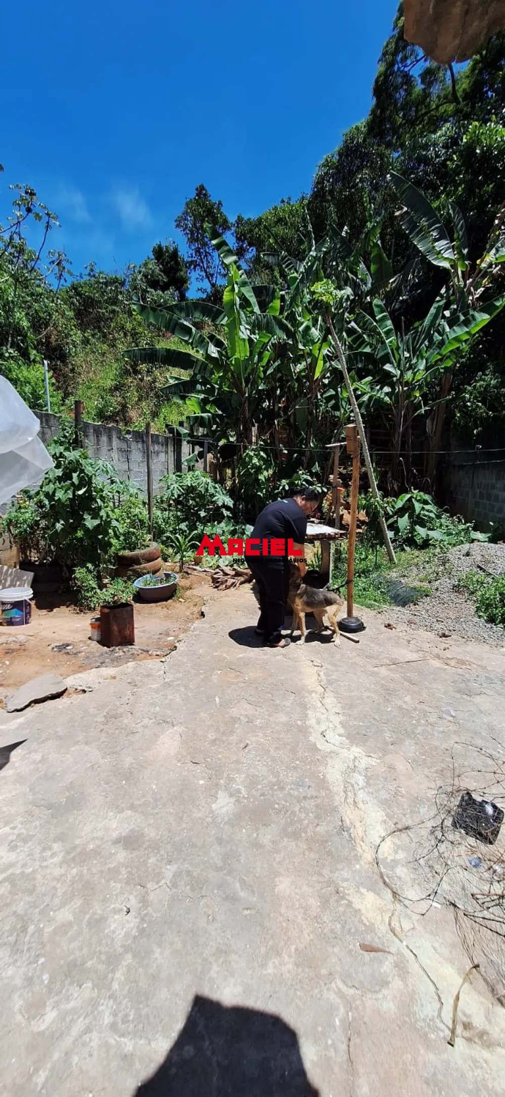 Comprar Casa / Padr&atilde;o em S&atilde;o Jos&eacute; dos Campos R$ 266.000,00 - Foto 18