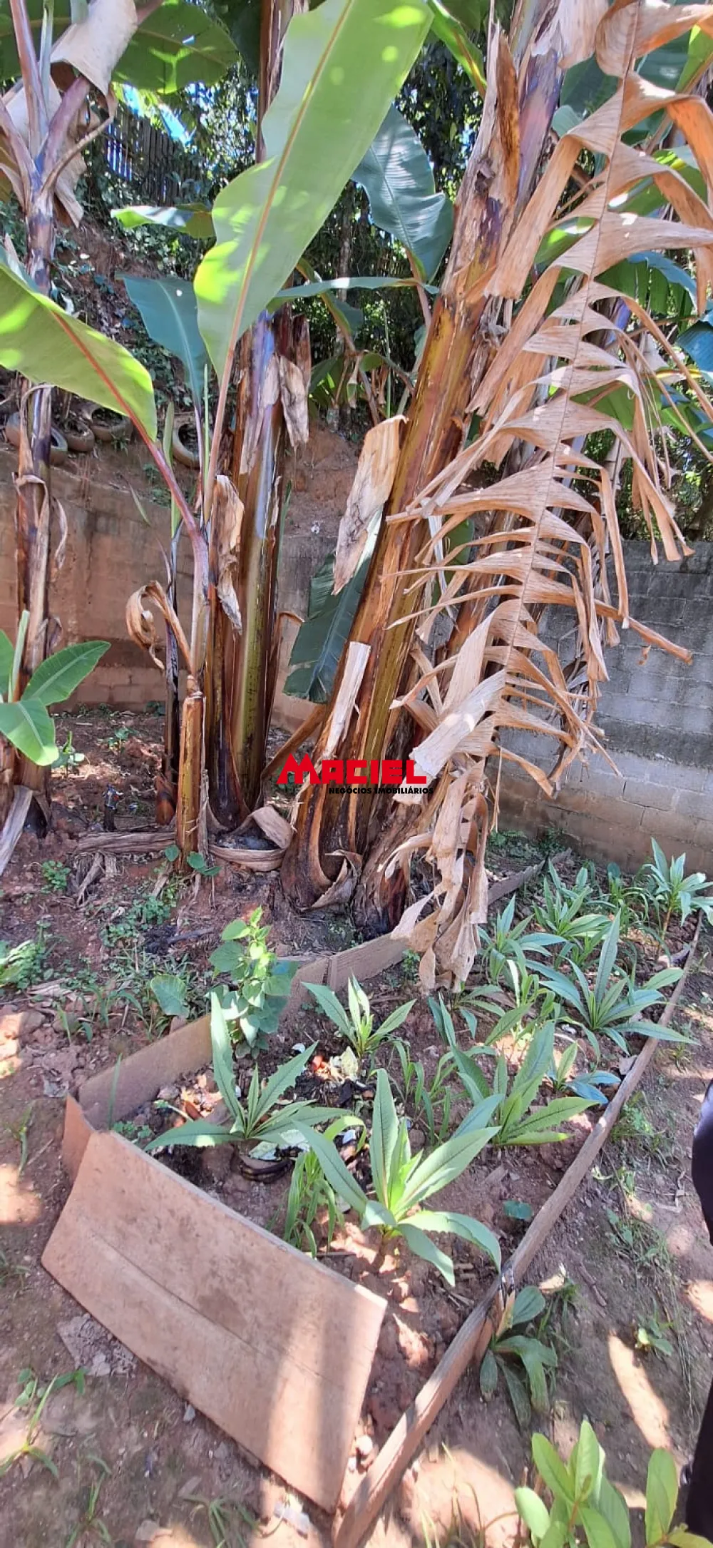 Comprar Casa / Padr&atilde;o em S&atilde;o Jos&eacute; dos Campos R$ 266.000,00 - Foto 21