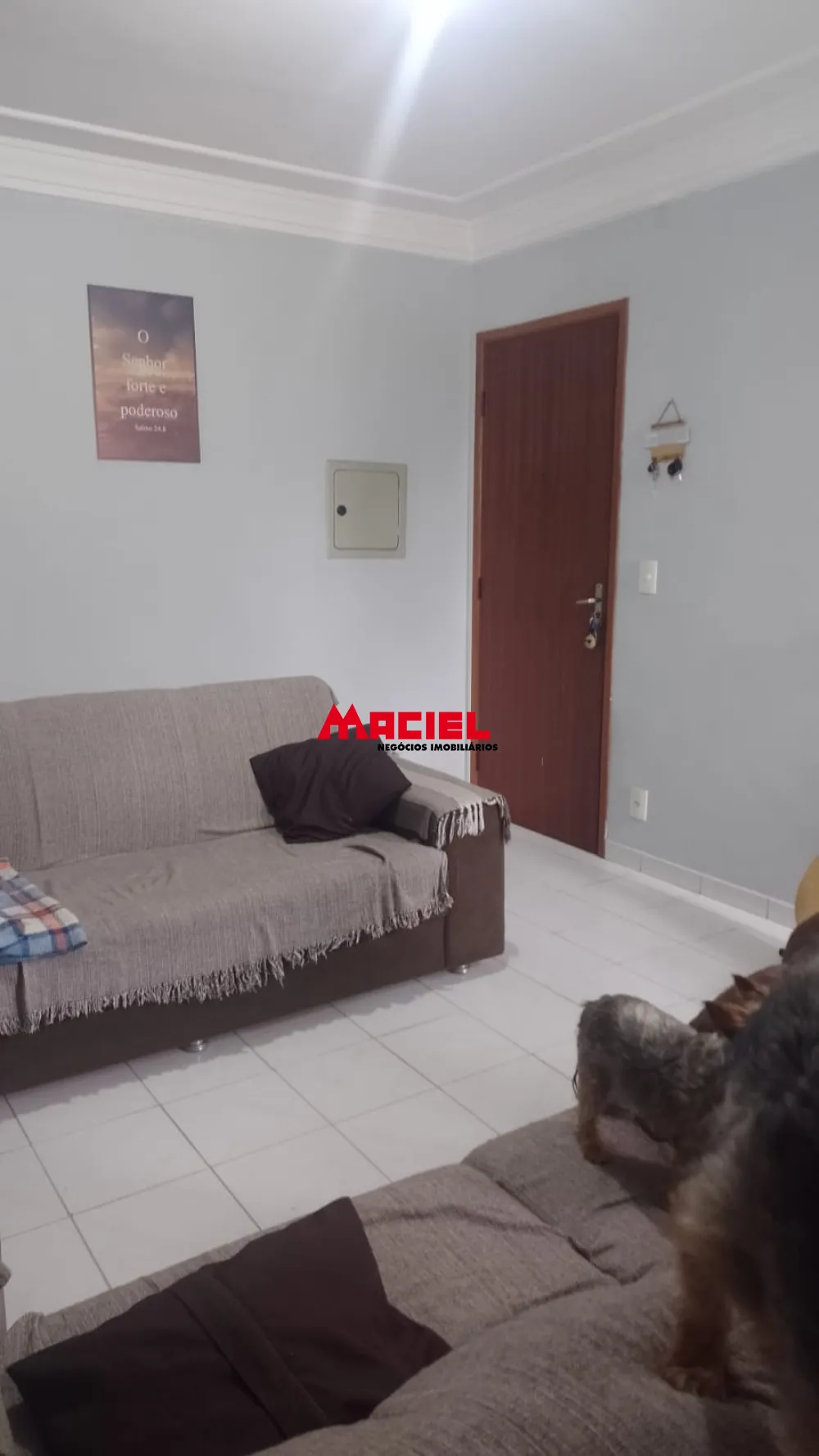 Comprar Apartamento / Padr&atilde;o em S&atilde;o Jos&eacute; dos Campos R$ 279.900,00 - Foto 13