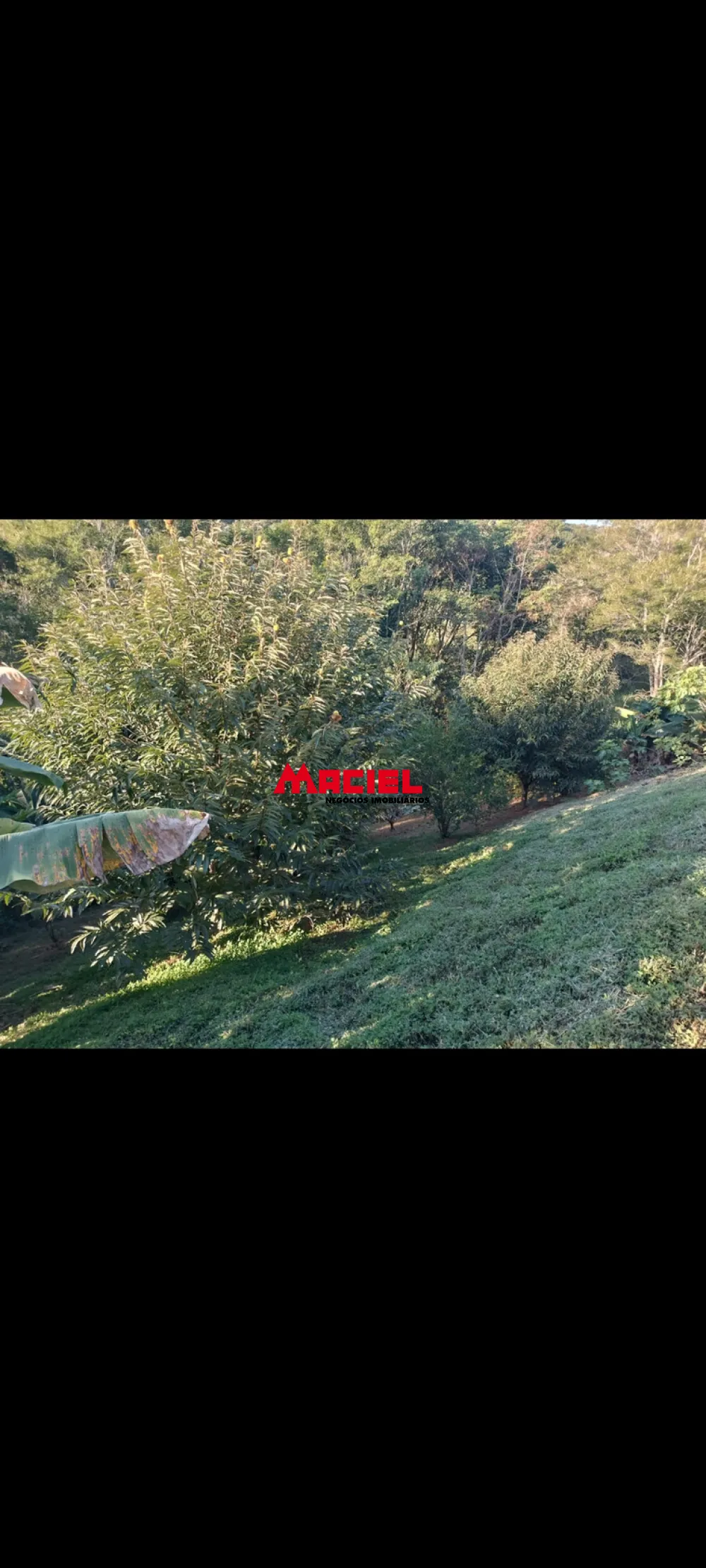 Comprar Rural / Fazenda, S&iacute;tio e Ch&aacute;cara em Santo Ant&ocirc;nio do Pinhal R$ 850.000,00 - Foto 5