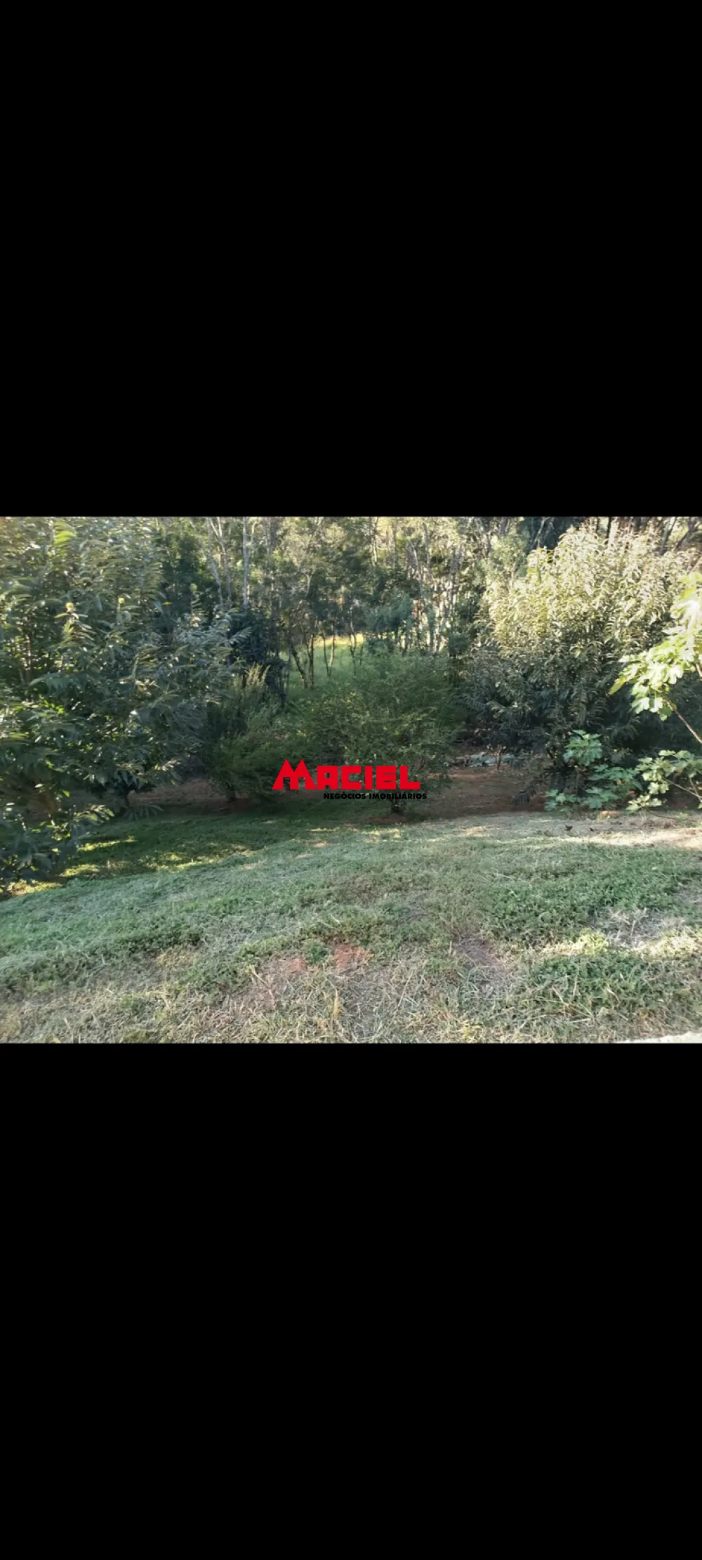 Comprar Rural / Fazenda, S&iacute;tio e Ch&aacute;cara em Santo Ant&ocirc;nio do Pinhal R$ 850.000,00 - Foto 10