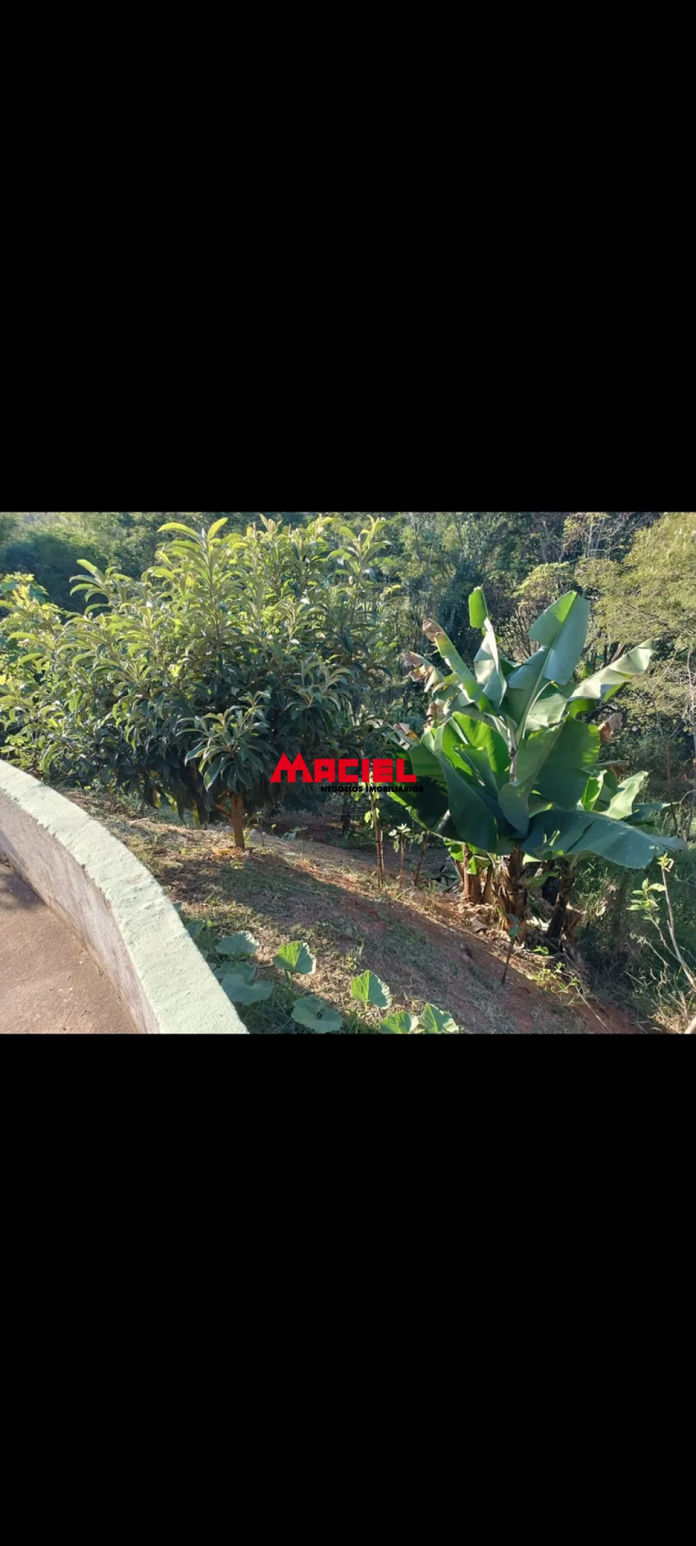 Comprar Rural / Fazenda, S&iacute;tio e Ch&aacute;cara em Santo Ant&ocirc;nio do Pinhal R$ 850.000,00 - Foto 9