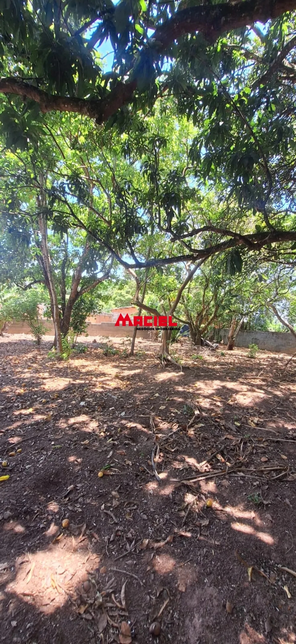 Comprar Rural / Fazenda, S&iacute;tio e Ch&aacute;cara em S&atilde;o Jos&eacute; dos Campos R$ 600.000,00 - Foto 6
