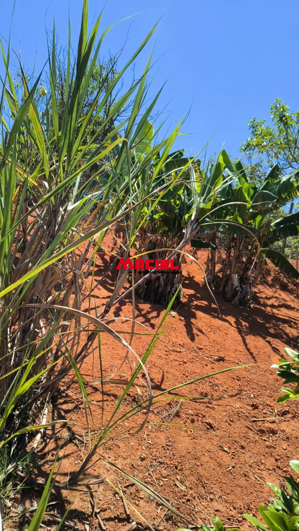 Comprar Rural / Ch&aacute;cara em Jacare&iacute; R$ 380.000,00 - Foto 13