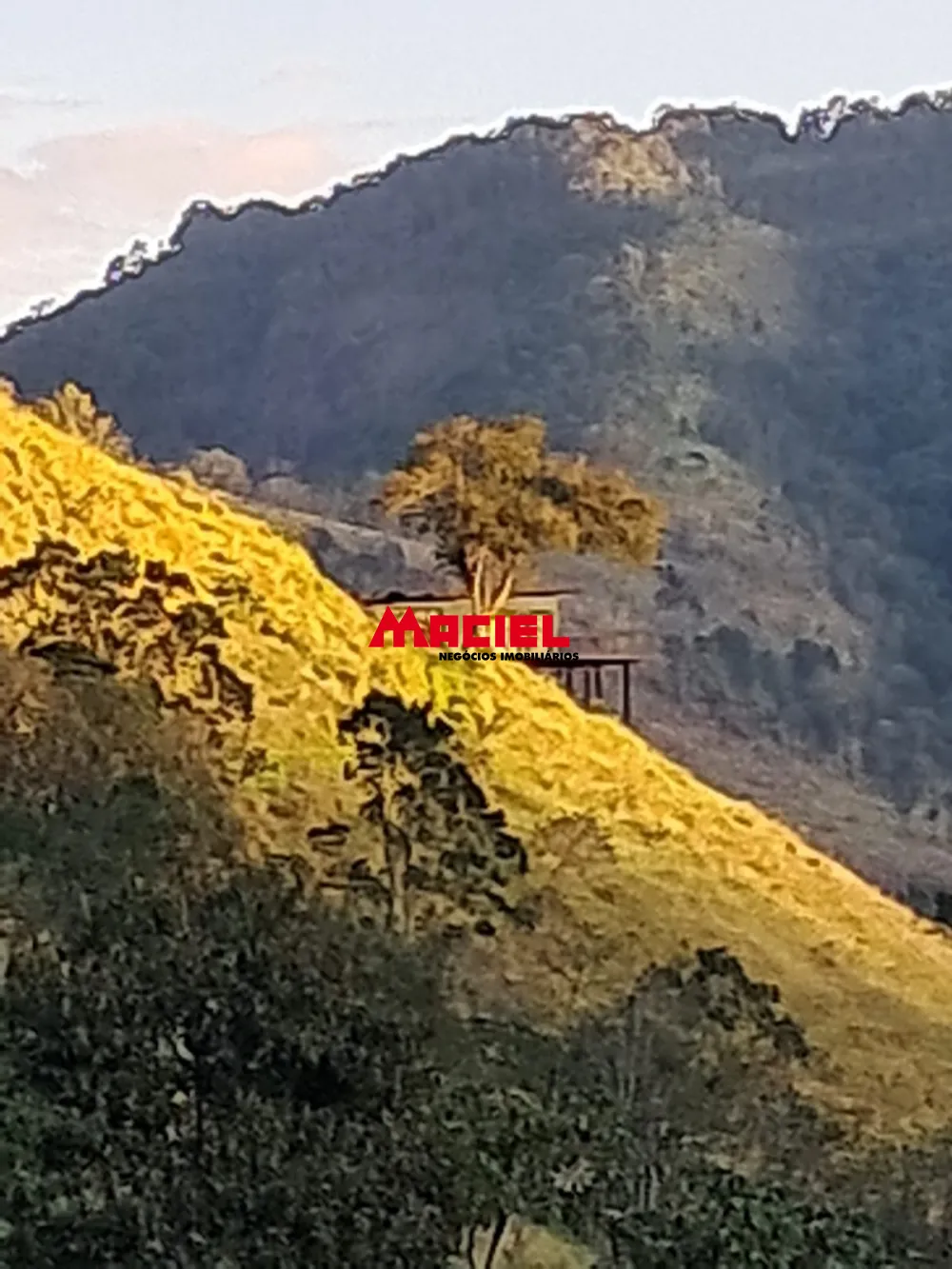 Comprar Rural / Fazenda, S&iacute;tio e Ch&aacute;cara em S&atilde;o Jos&eacute; dos Campos R$ 1.470.000,00 - Foto 3