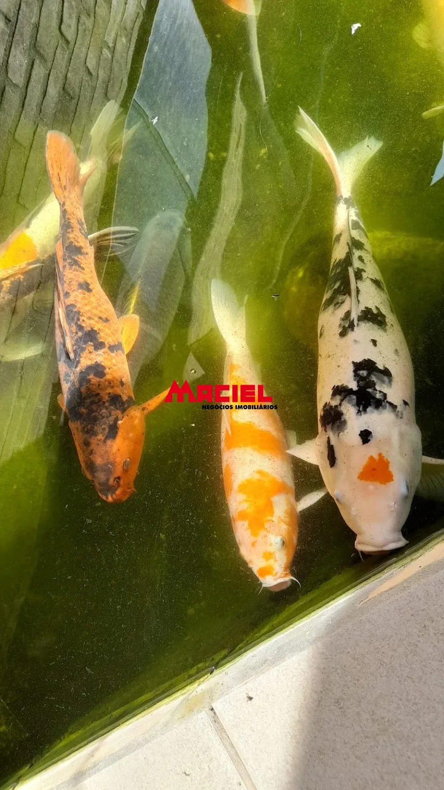 Comprar Rural / Ch&aacute;cara em Santa Luzia R$ 2.500.000,00 - Foto 19