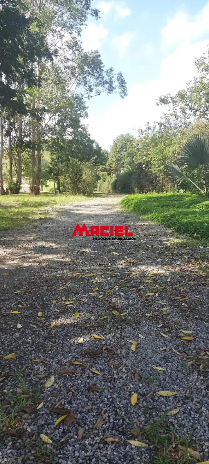 Comprar Rural / Ch&aacute;cara em Santa Luzia R$ 2.500.000,00 - Foto 24