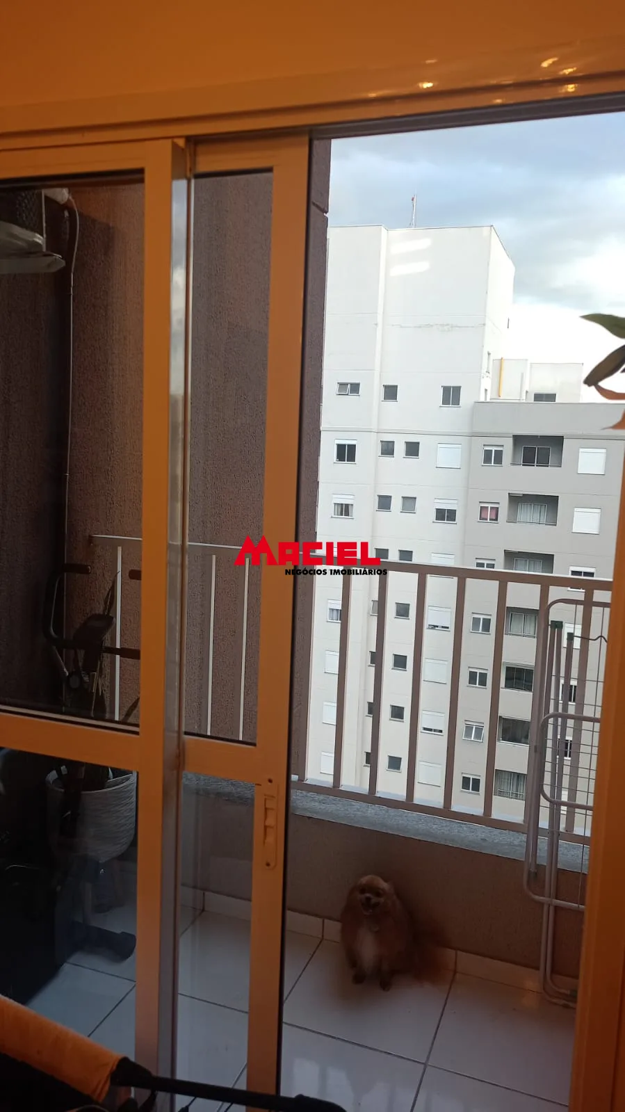 Alugar Apartamento / Padr&atilde;o em S&atilde;o Jos&eacute; dos Campos R$ 2.600,00 - Foto 3