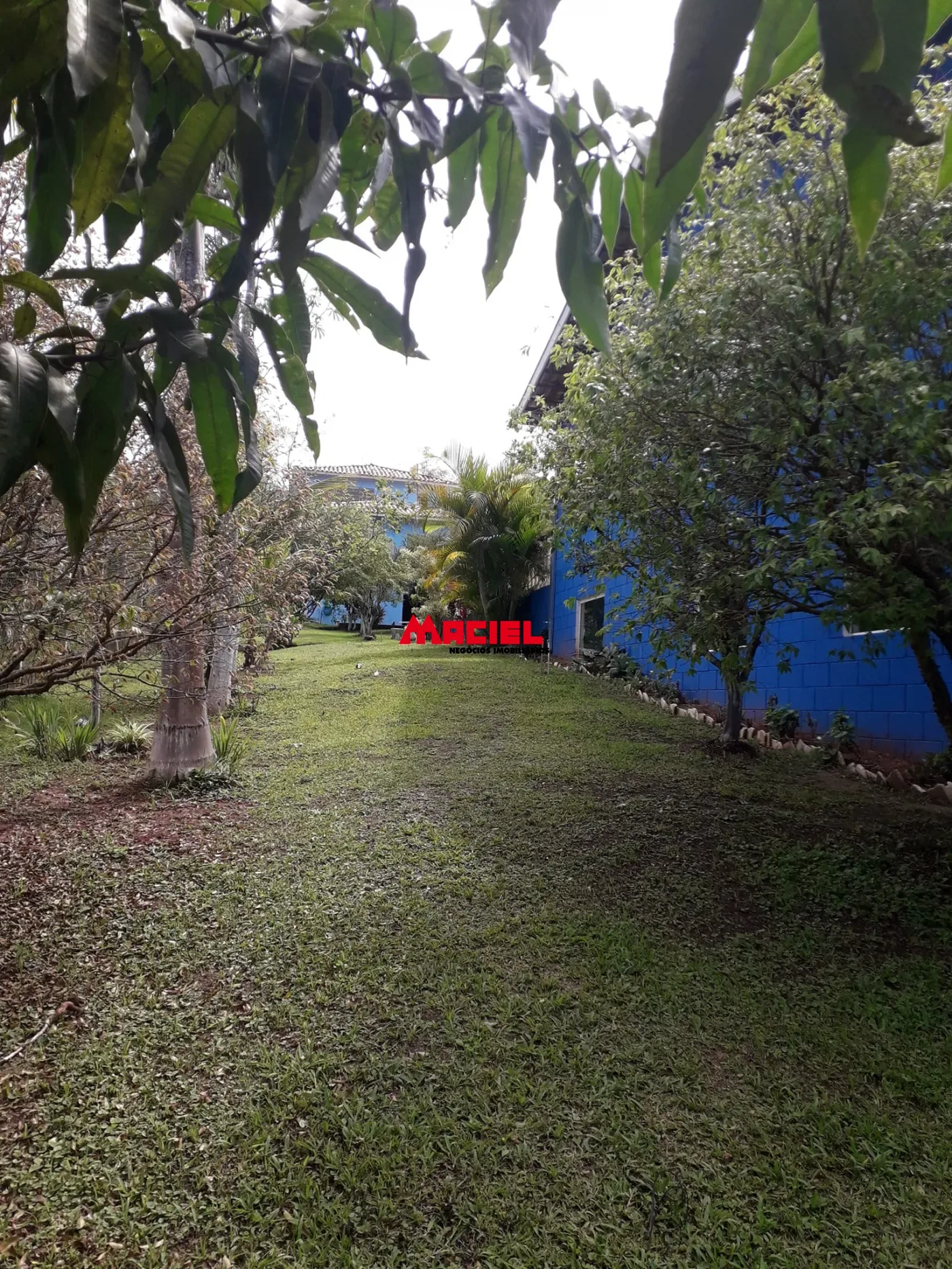Alugar Rural / Ch&aacute;cara em Ca&ccedil;apava R$ 6.500,00 - Foto 4