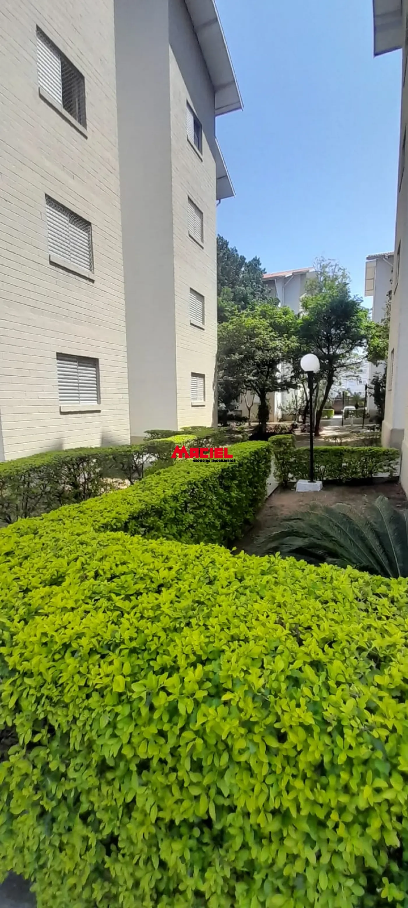 Alugar Apartamento / Padr&atilde;o em S&atilde;o Jos&eacute; dos Campos R$ 664,20 - Foto 14
