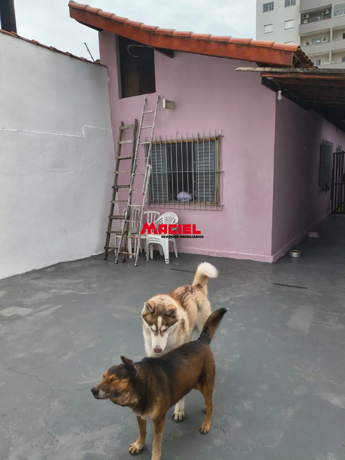 Comprar Casa / Padr&atilde;o em S&atilde;o Jos&eacute; dos Campos R$ 650.000,00 - Foto 21