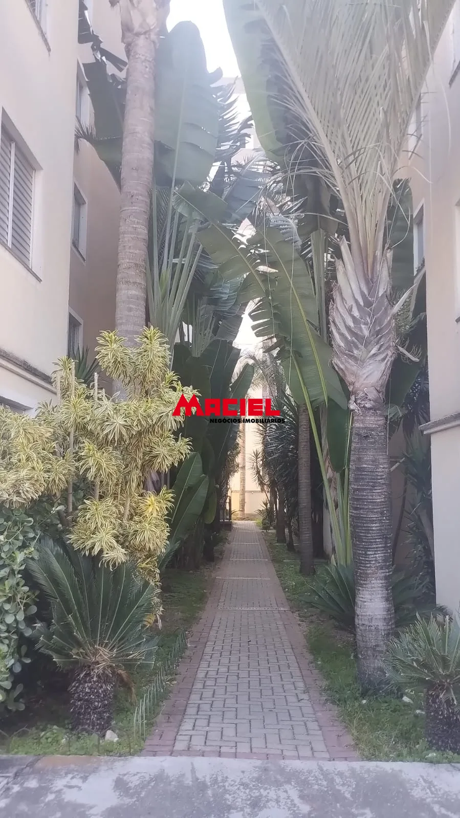 Comprar Apartamento / Padr&atilde;o em S&atilde;o Jos&eacute; dos Campos R$ 375.000,00 - Foto 20