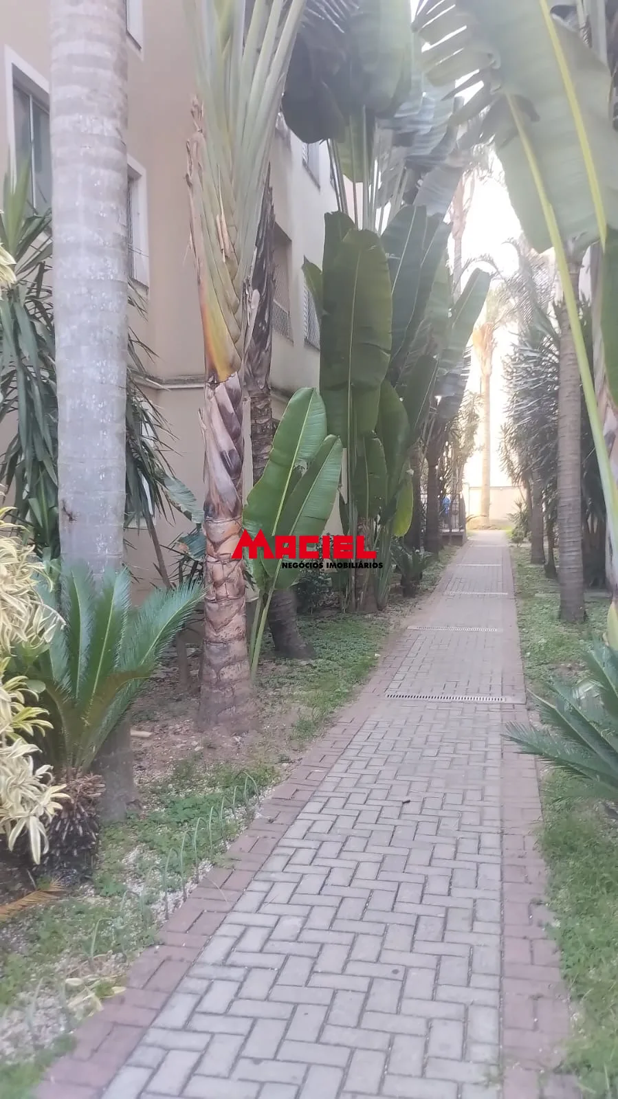 Comprar Apartamento / Padr&atilde;o em S&atilde;o Jos&eacute; dos Campos R$ 375.000,00 - Foto 21