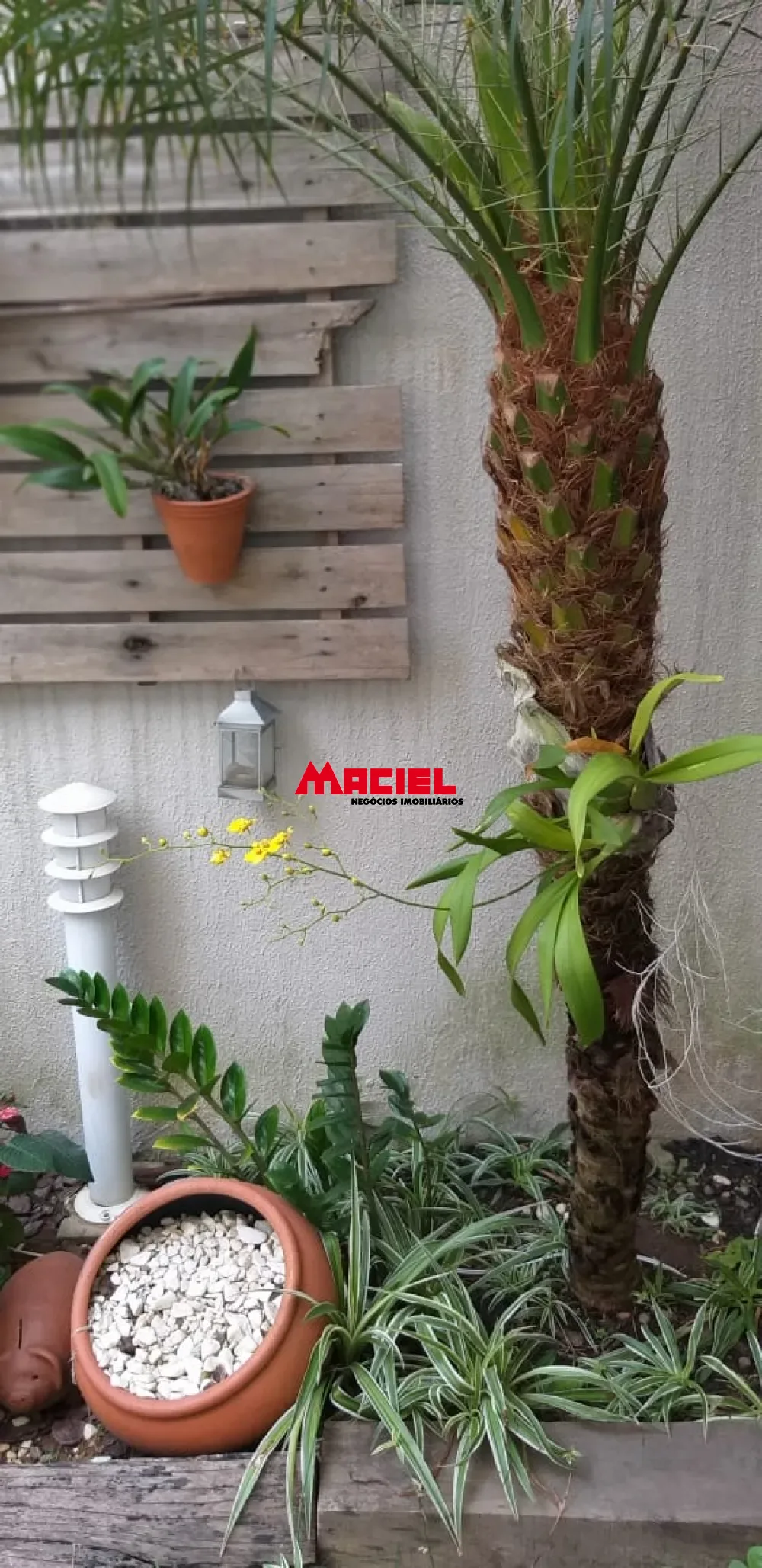 Alugar Apartamento / Padr&atilde;o em S&atilde;o Jos&eacute; dos Campos R$ 2.200,00 - Foto 21