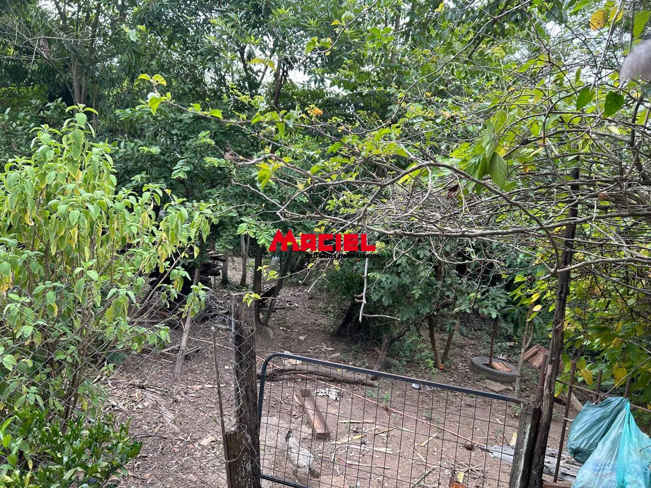 Comprar Rural / Ch&aacute;cara em S&atilde;o Jos&eacute; dos Campos R$ 1.200.000,00 - Foto 32