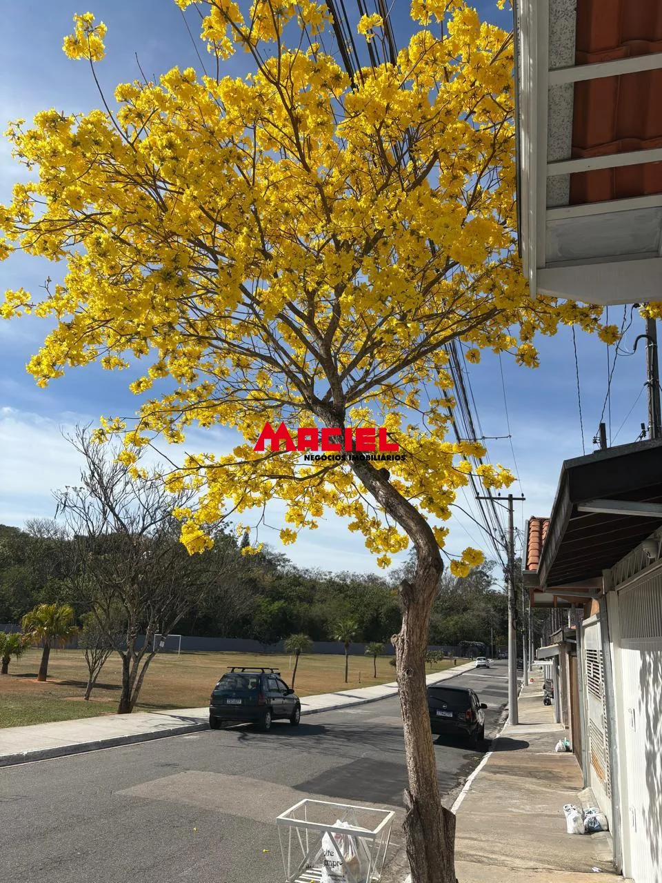 Comprar Casa / Condom&iacute;nio em S&atilde;o Jos&eacute; dos Campos R$ 360.000,00 - Foto 11