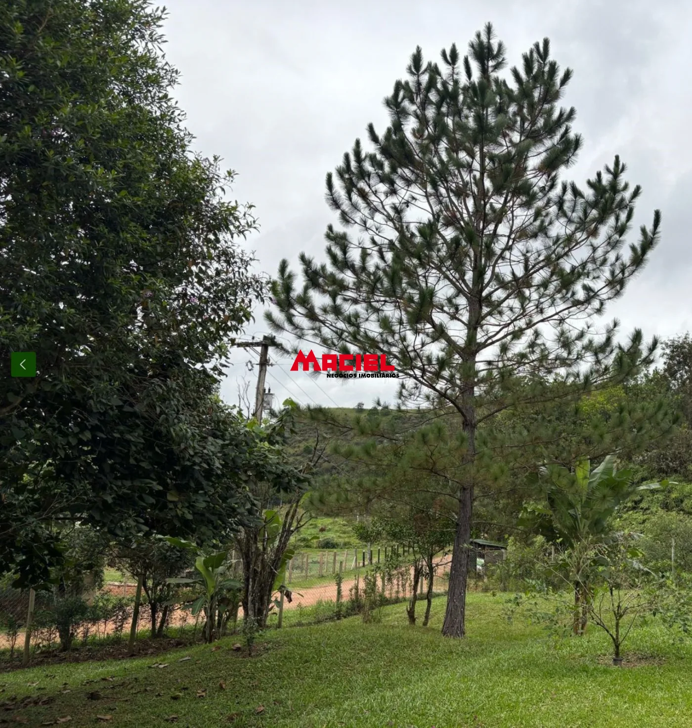 Comprar Rural / Fazenda, S&iacute;tio e Ch&aacute;cara em S&atilde;o Jos&eacute; dos Campos R$ 1.180.000,00 - Foto 10