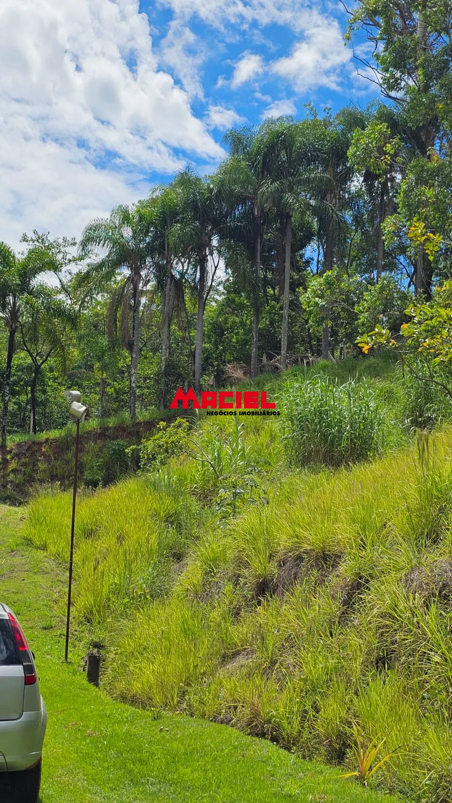 Comprar Terreno / Padr&atilde;o em Santa Luzia R$ 750.000,00 - Foto 4