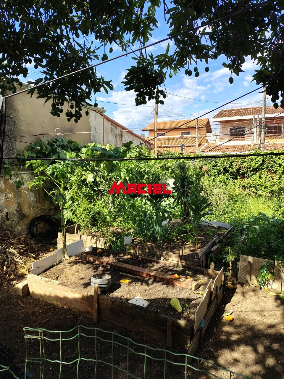 Comprar Casa / Ed&iacute;cula em S&atilde;o Jos&eacute; dos Campos R$ 600.000,00 - Foto 6