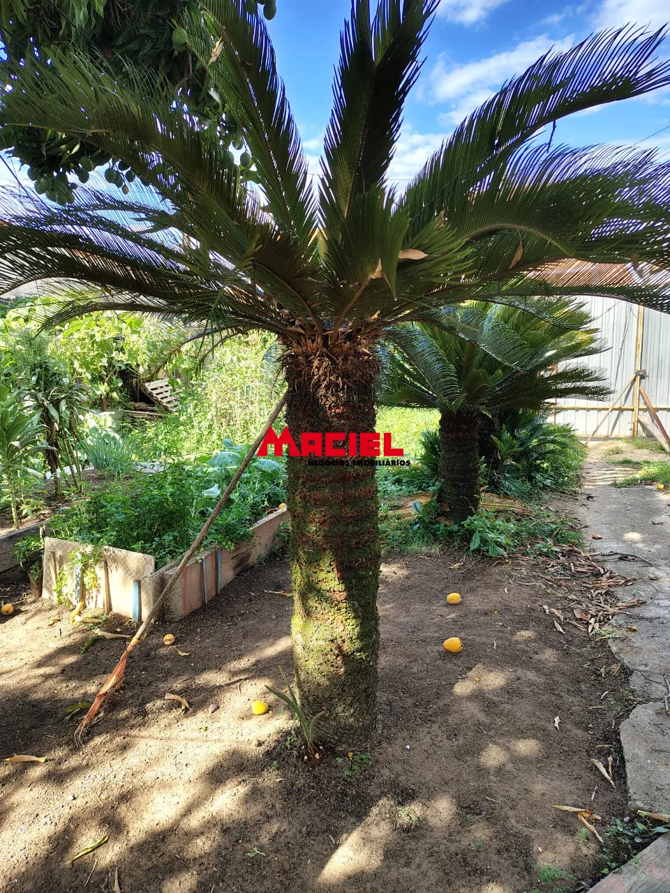 Comprar Casa / Ed&iacute;cula em S&atilde;o Jos&eacute; dos Campos R$ 600.000,00 - Foto 11