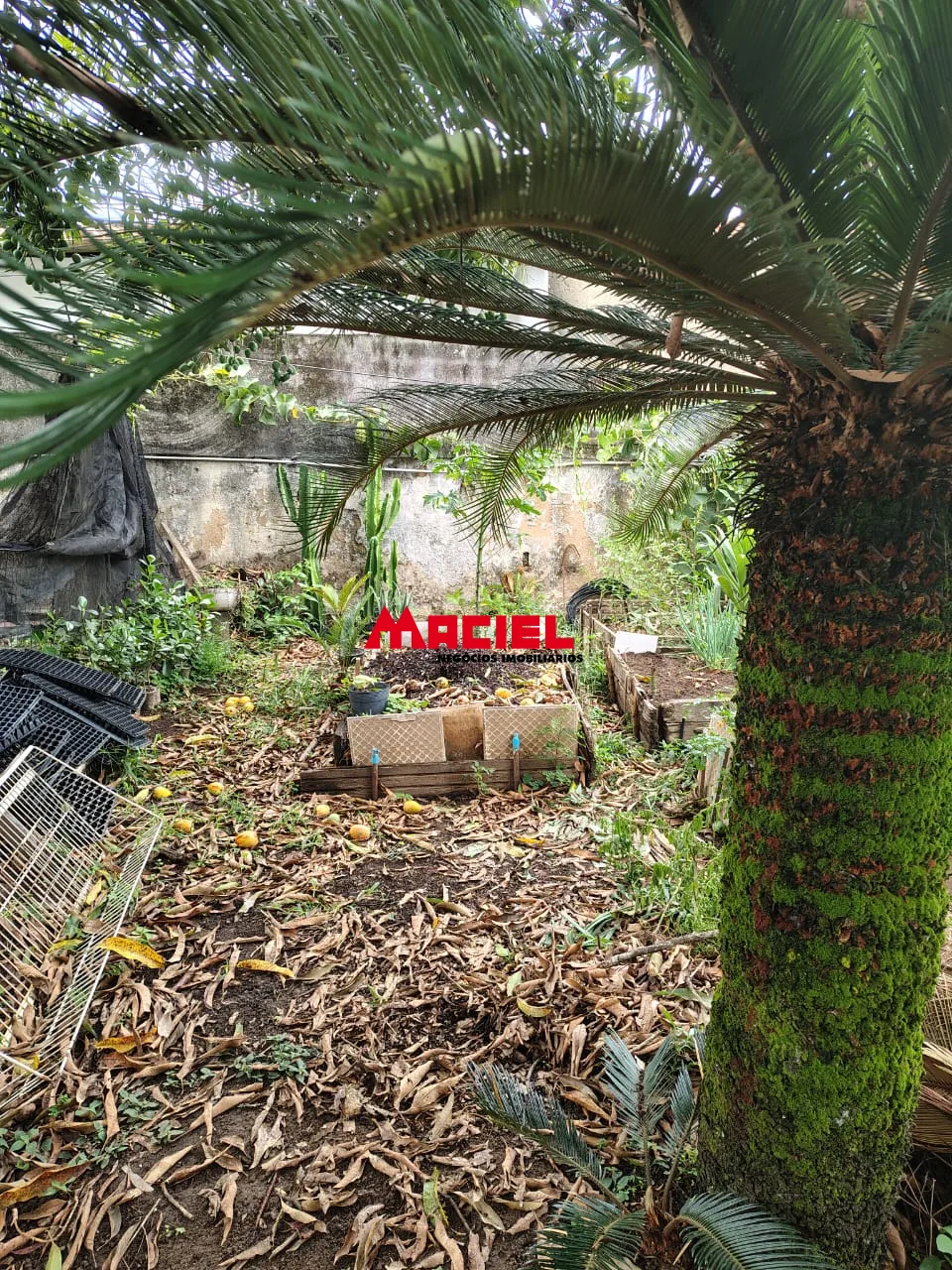 Comprar Casa / Ed&iacute;cula em S&atilde;o Jos&eacute; dos Campos R$ 600.000,00 - Foto 14