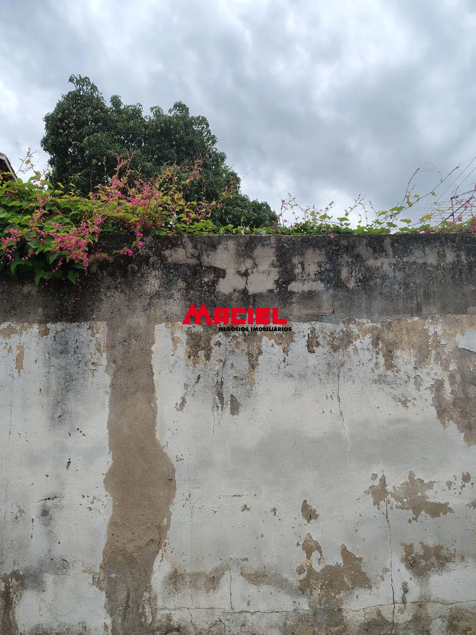 Comprar Casa / Ed&iacute;cula em S&atilde;o Jos&eacute; dos Campos R$ 600.000,00 - Foto 16