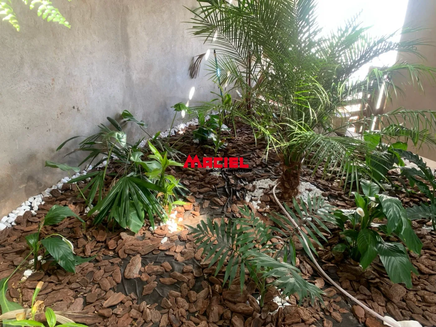 Comprar Casa / Padr&atilde;o em S&atilde;o Jos&eacute; dos Campos R$ 640.000,00 - Foto 8