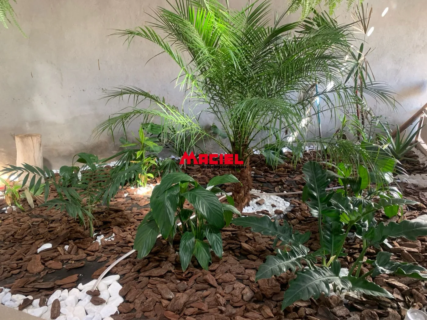 Comprar Casa / Padr&atilde;o em S&atilde;o Jos&eacute; dos Campos R$ 640.000,00 - Foto 10