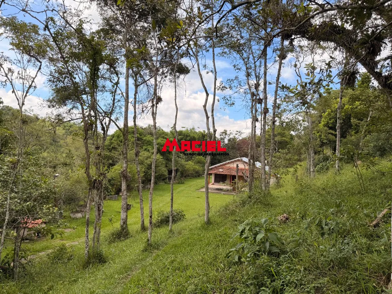 Comprar Rural / Fazenda, S&iacute;tio e Ch&aacute;cara em Jacare&iacute; R$ 1.200.000,00 - Foto 5