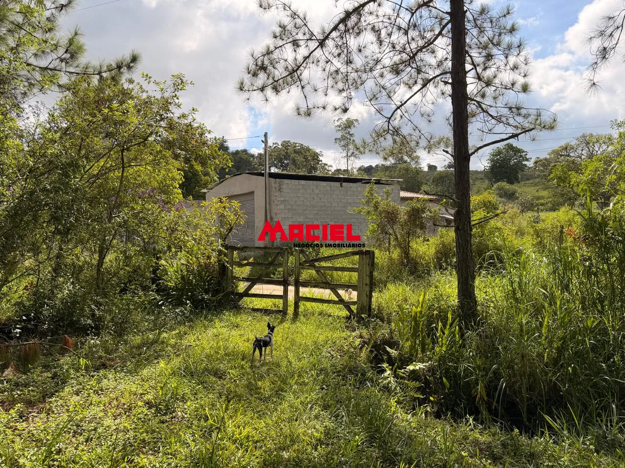 Comprar Rural / Fazenda, S&iacute;tio e Ch&aacute;cara em Jacare&iacute; R$ 1.200.000,00 - Foto 6