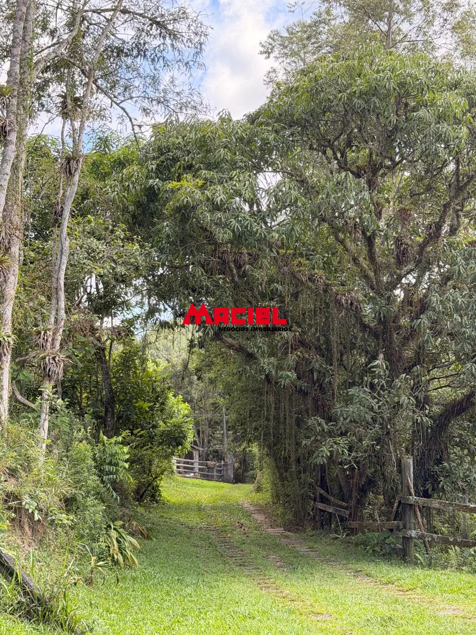 Comprar Rural / Fazenda, S&iacute;tio e Ch&aacute;cara em Jacare&iacute; R$ 1.200.000,00 - Foto 10