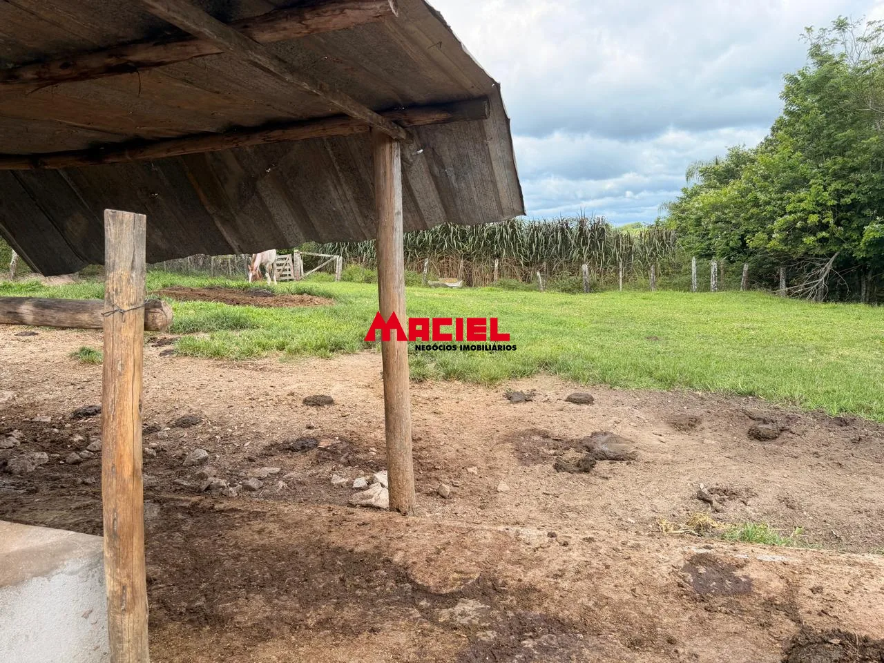 Comprar Rural / Fazenda, S&iacute;tio e Ch&aacute;cara em Jacare&iacute; R$ 1.200.000,00 - Foto 9