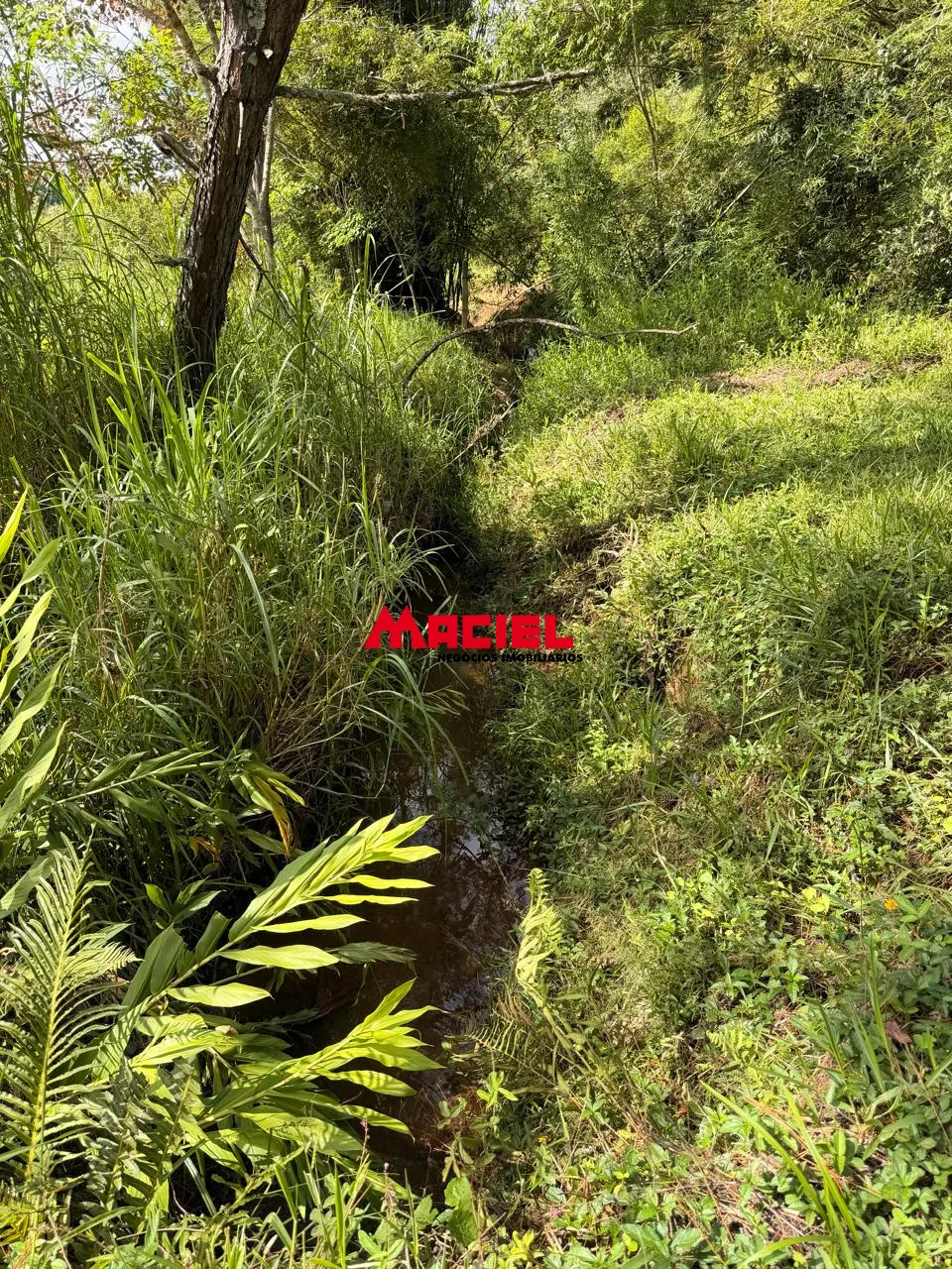 Comprar Rural / Fazenda, S&iacute;tio e Ch&aacute;cara em Jacare&iacute; R$ 1.200.000,00 - Foto 12