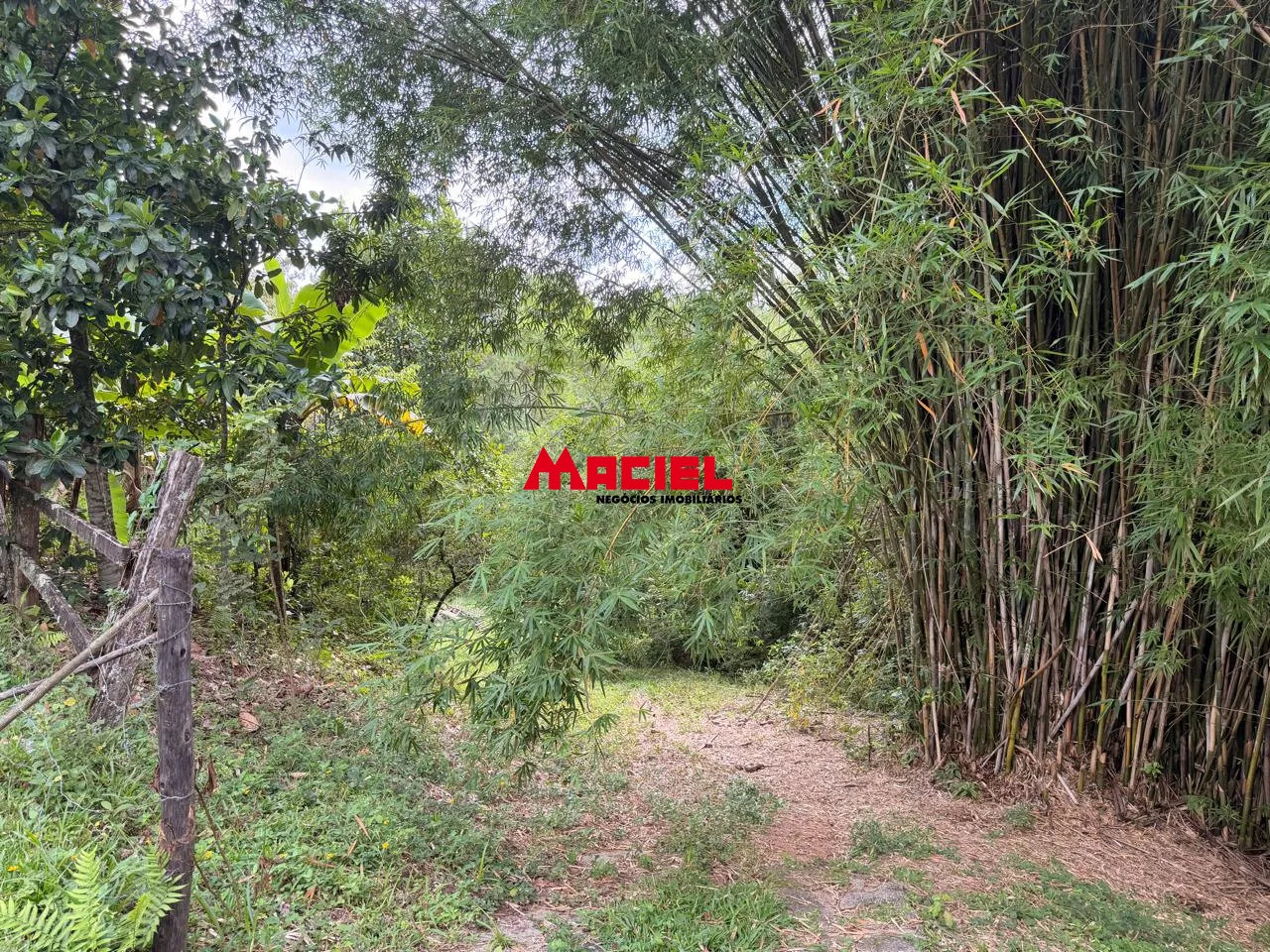 Comprar Rural / Fazenda, S&iacute;tio e Ch&aacute;cara em Jacare&iacute; R$ 1.200.000,00 - Foto 13