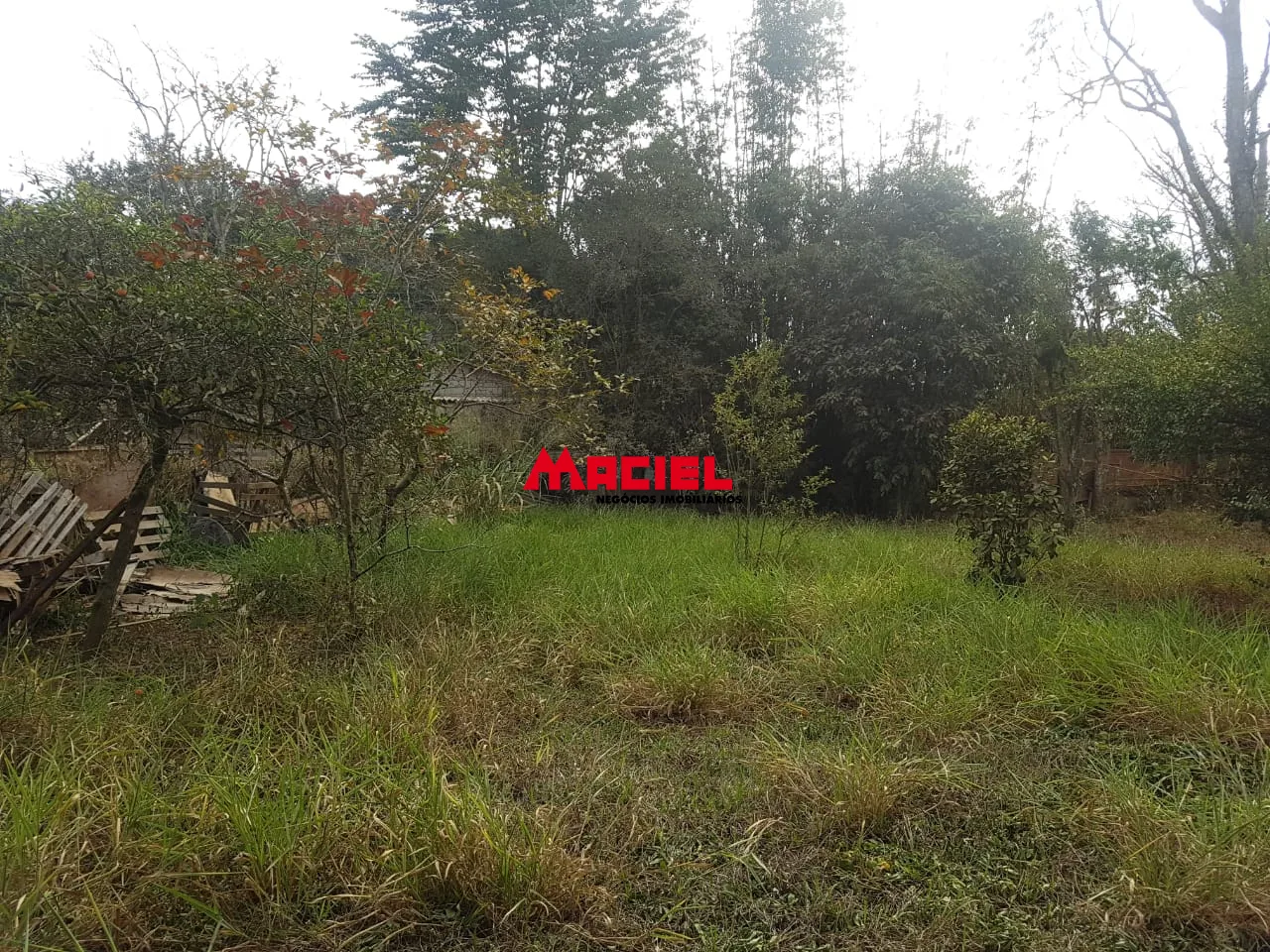 Comprar Rural / Ch&aacute;cara em Ca&ccedil;apava R$ 500.000,00 - Foto 26