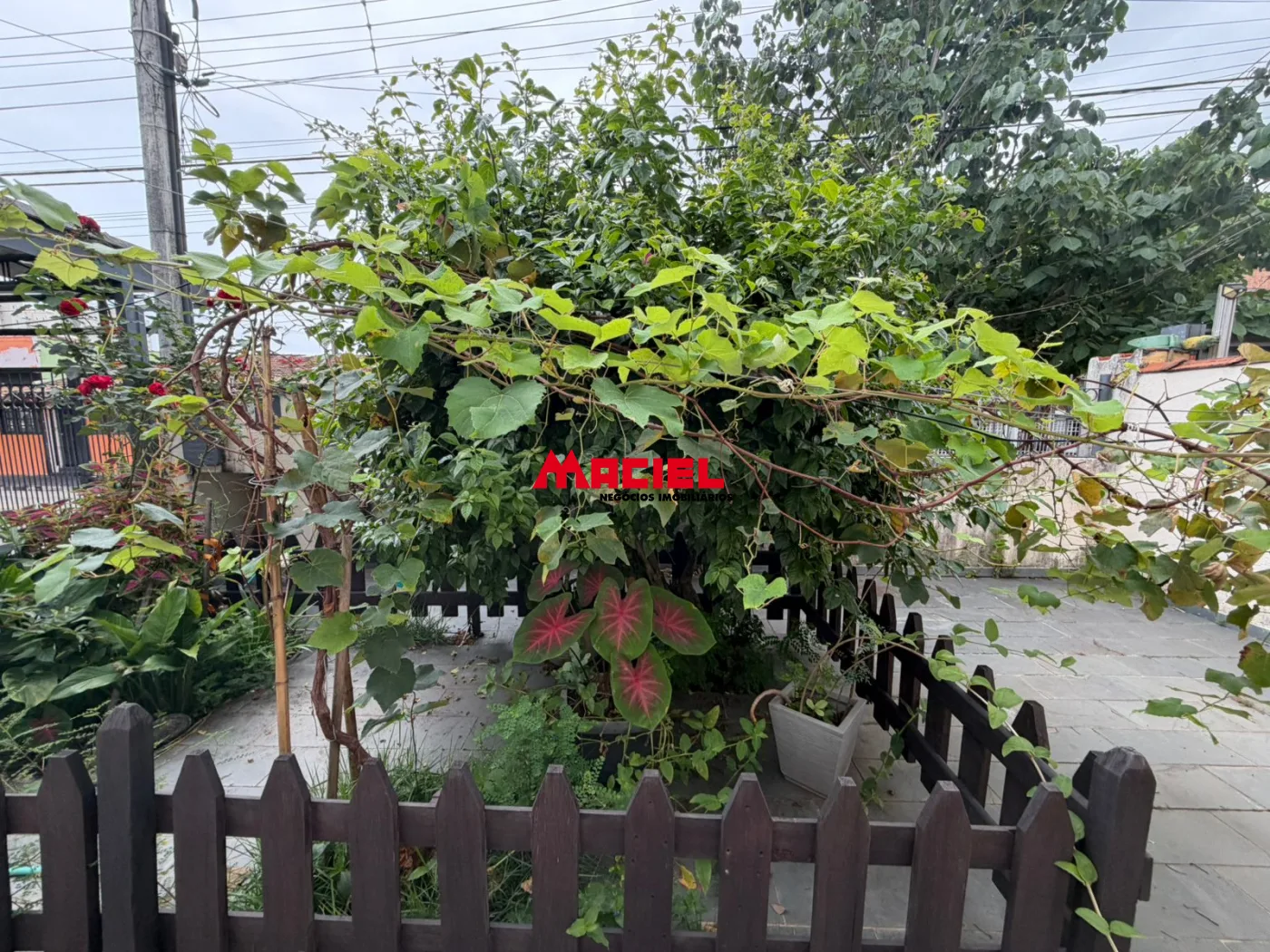 Comprar Casa / Padr&atilde;o em S&atilde;o Jos&eacute; dos Campos R$ 750.000,00 - Foto 5