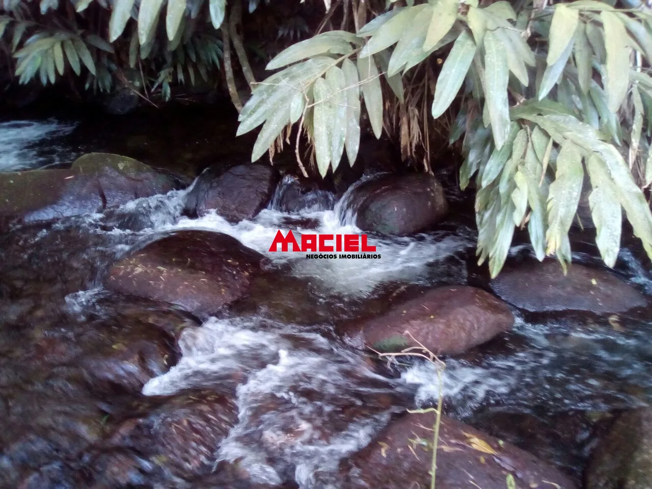 Comprar Rural / Fazenda, S&iacute;tio e Ch&aacute;cara em Monteiro Lobato R$ 2.000.000,00 - Foto 32