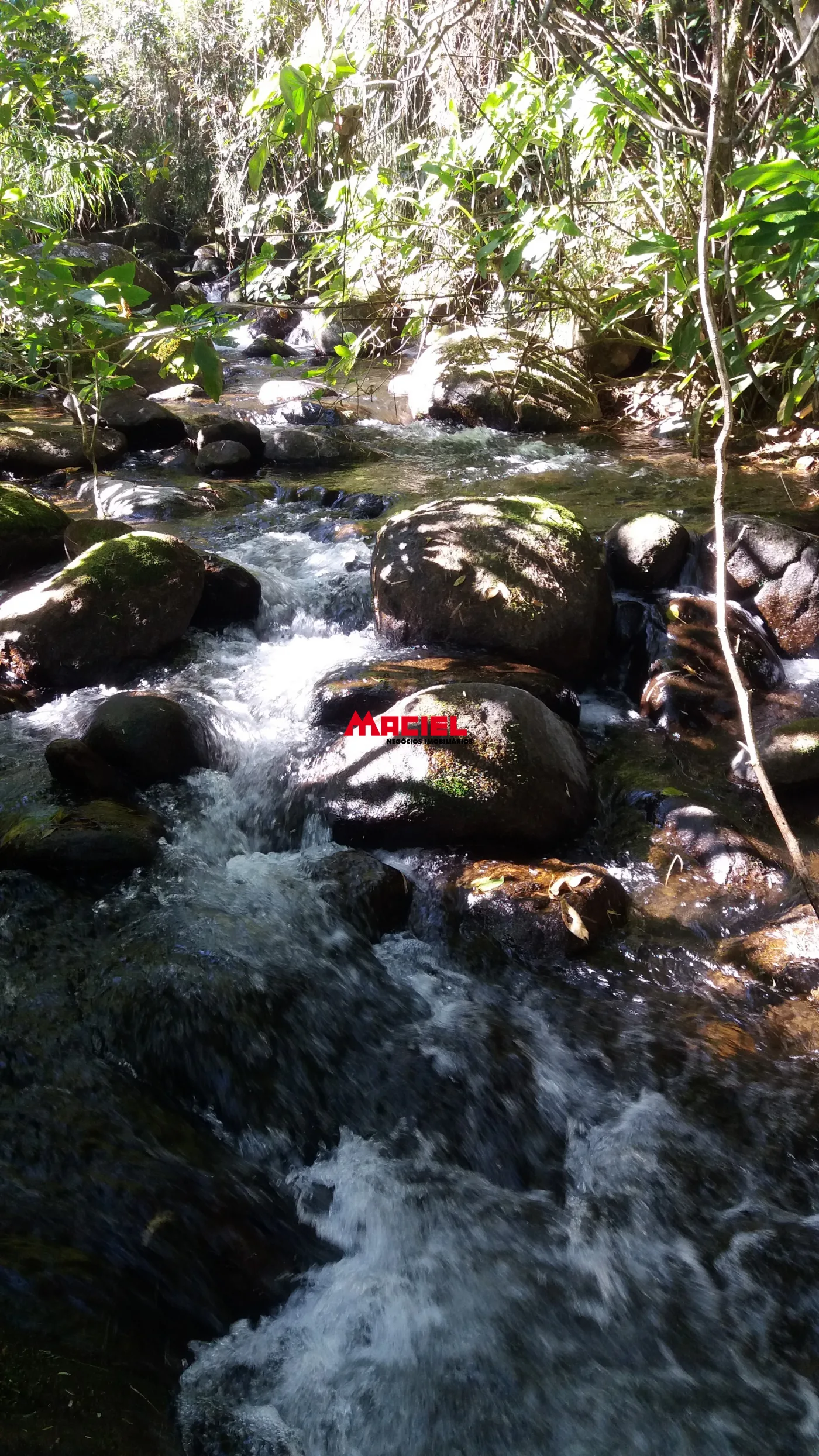Comprar Rural / Fazenda, S&iacute;tio e Ch&aacute;cara em Monteiro Lobato R$ 2.000.000,00 - Foto 33