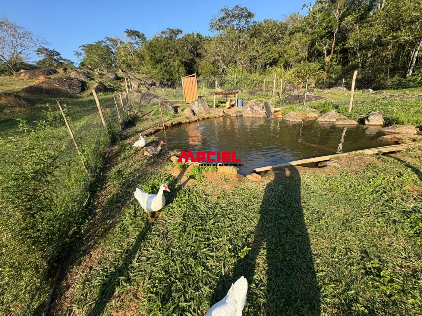 Comprar Rural / Fazenda, S&iacute;tio e Ch&aacute;cara em Monteiro Lobato R$ 2.000.000,00 - Foto 56