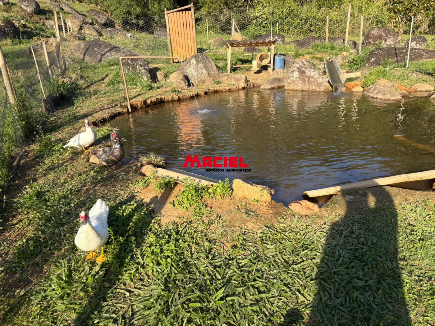 Comprar Rural / Fazenda, S&iacute;tio e Ch&aacute;cara em Monteiro Lobato R$ 2.000.000,00 - Foto 59