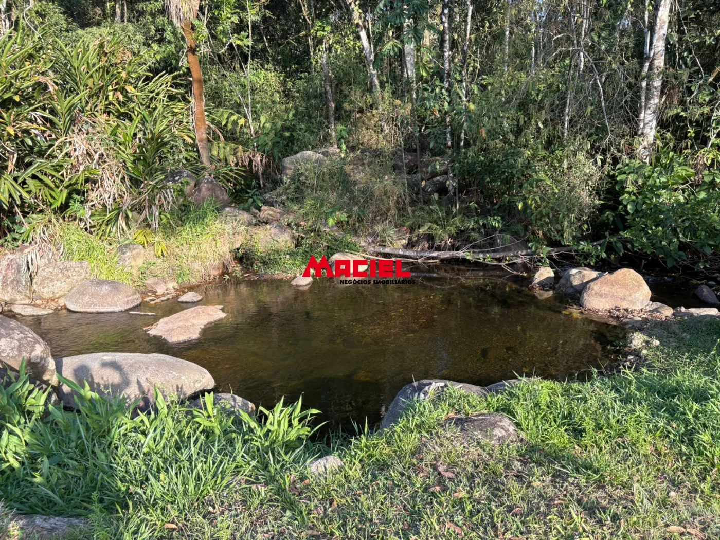 Comprar Rural / Fazenda, S&iacute;tio e Ch&aacute;cara em Monteiro Lobato R$ 2.000.000,00 - Foto 62