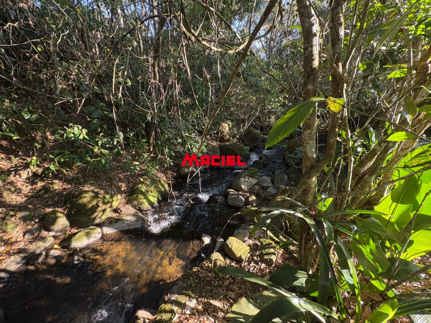 Comprar Rural / Fazenda, S&iacute;tio e Ch&aacute;cara em Monteiro Lobato R$ 2.000.000,00 - Foto 69