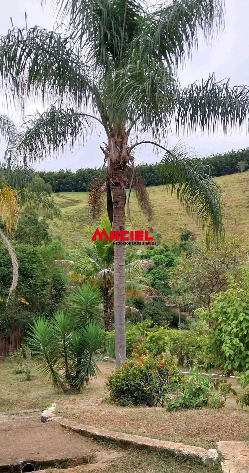 Comprar Rural / Ch&aacute;cara em Paraibuna R$ 530.000,00 - Foto 43